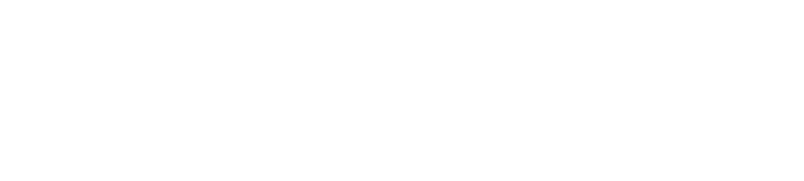 Michelin official bib logo